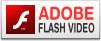 adobeflashvideo_logo