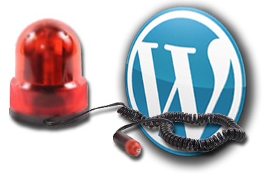 WordPress Emergency Services